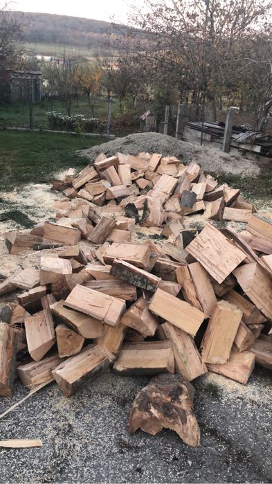 Lemne de foc (fag ,carpen , stejar)
