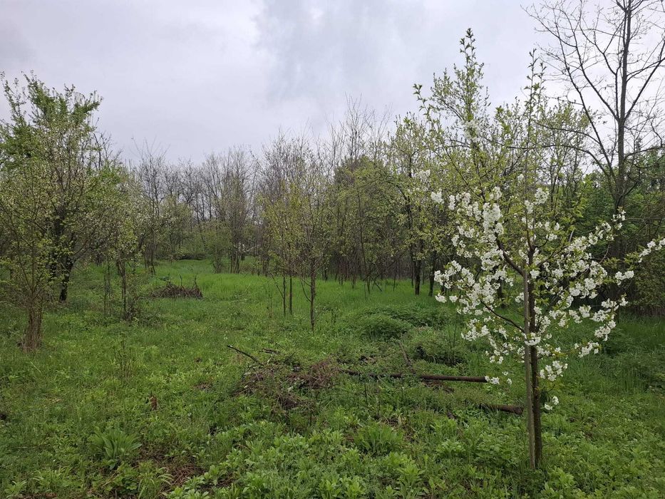 vand teren intravilan 3065 mp f aproape de Valenii de munte