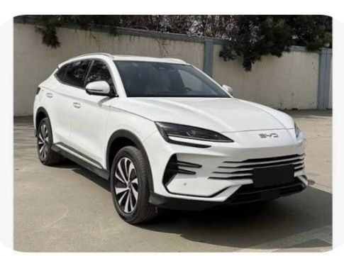 BYD chempion 150