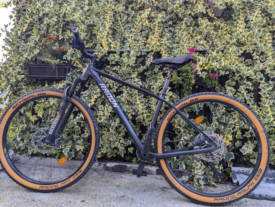 Radon Jealous Al. 2021 M