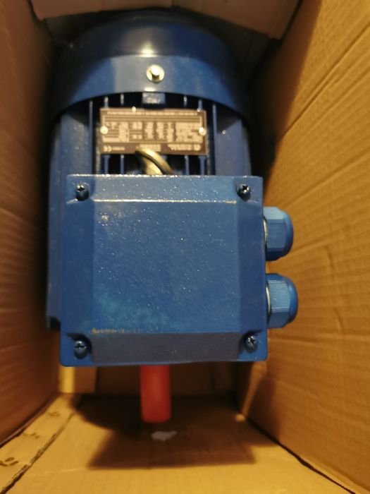 Motor electric trifazat