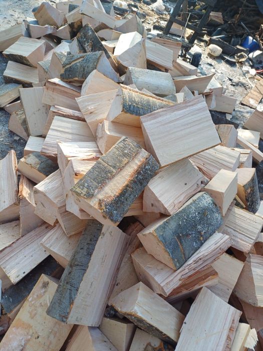 Lemne uscate și verzi esență tare Fag Carpen