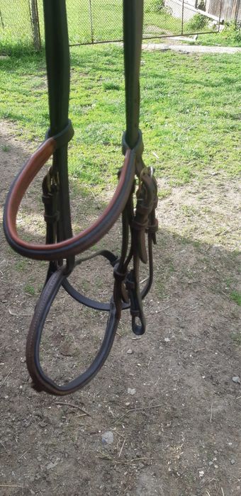 Vand capastru pentru ponei/cal