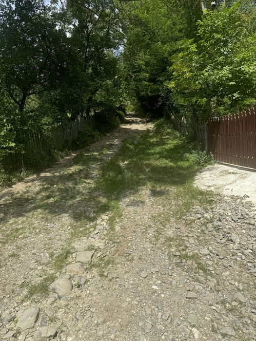 Teren de vanzare Valea Doftanei Traisteni 3600mp