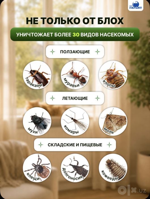 Эко Абсолют от клопов и блох и других насекомых