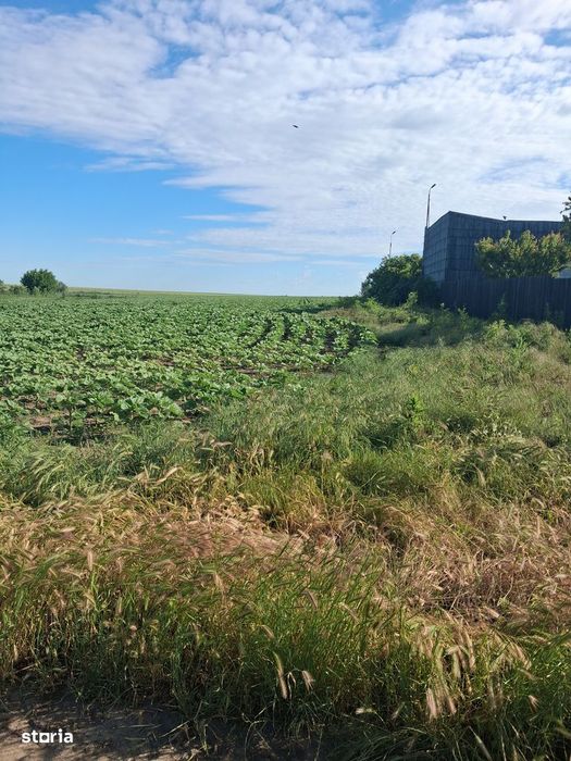 Teren agricol 1000mp, acces asfaltat, 35.000 EUR
