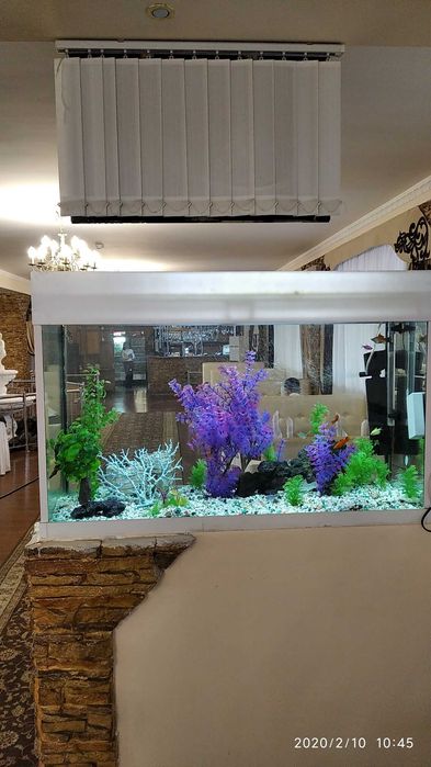 Чистка аквариумов