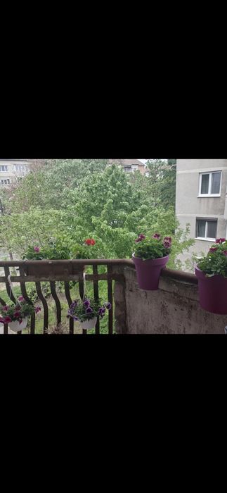 Vand apartament 3 camere decomandate  tip D
