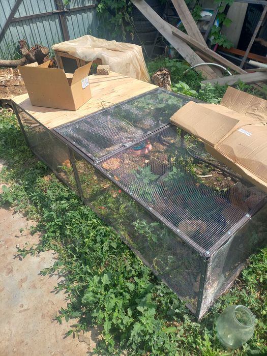 Выгул для молодняка