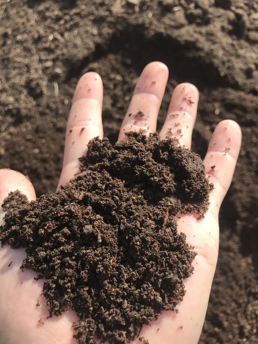 Көң,Навоз,Удобрение