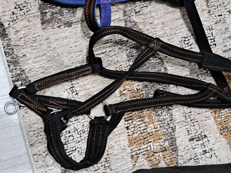 Жуген нокта сатылады