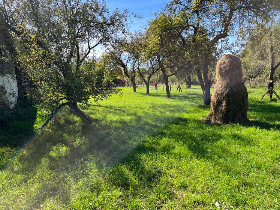 Teren intravilan de vânzare Breaza PH / Podu Corbului / 2 loturi