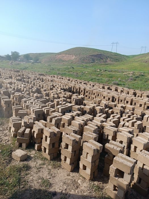 Xom gisht va pishkan gisht Пишган гишт ва Хом гишт