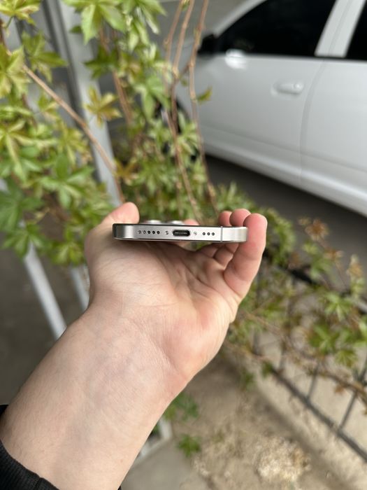 Iphone 15 Pro 256 Gb 88%