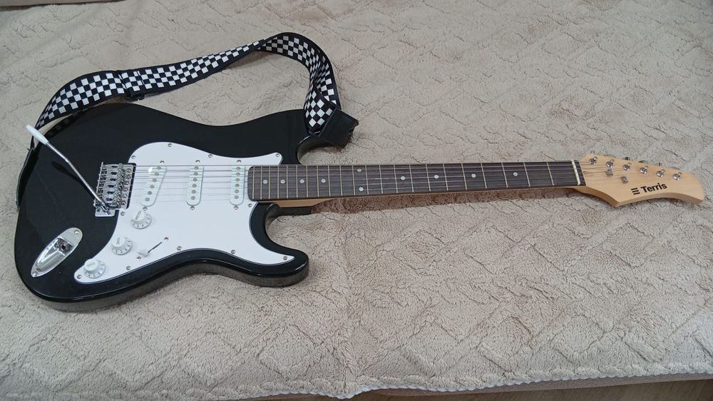 Электрогитара Terris