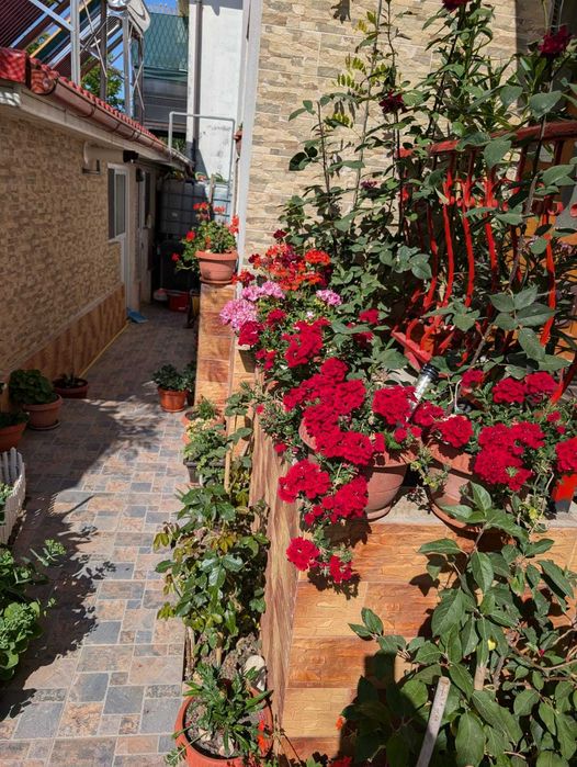 Vand casa deosebita in Techirghiol