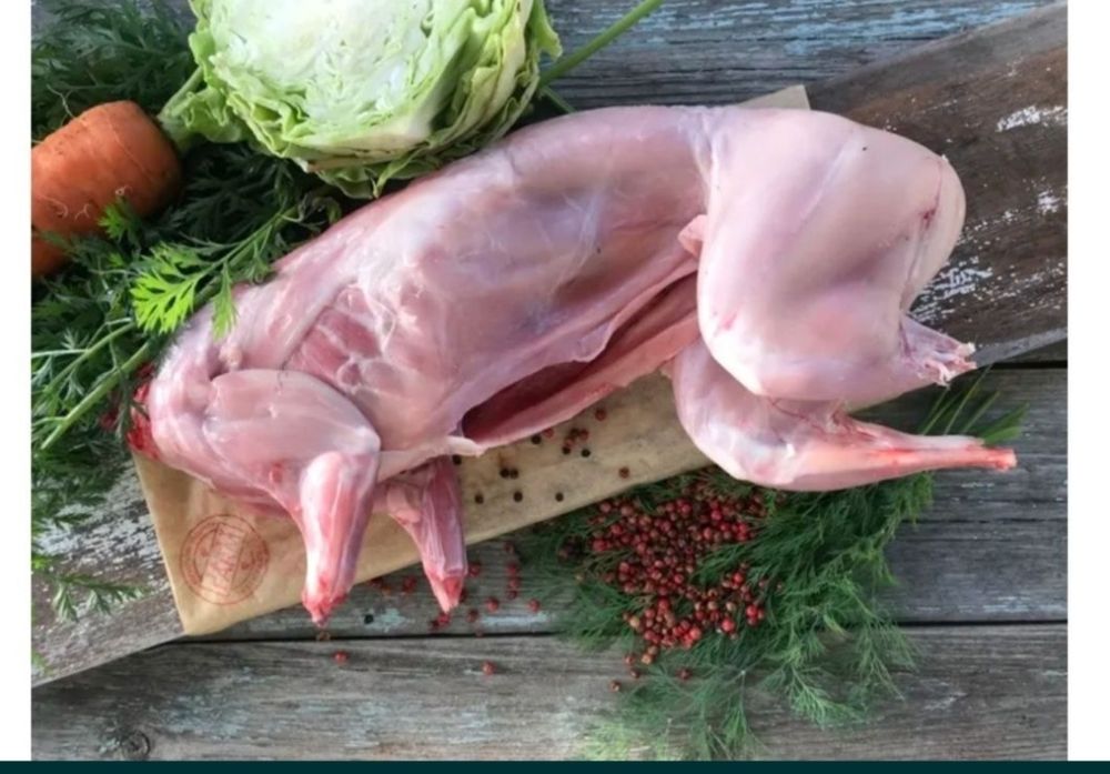 Продам мясо кроликов (молодняк)