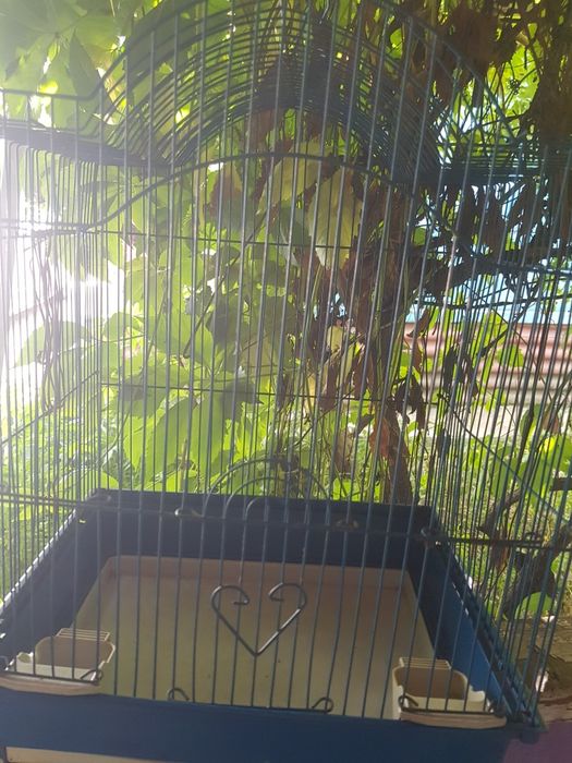 Продам клетку для попугайчиков
