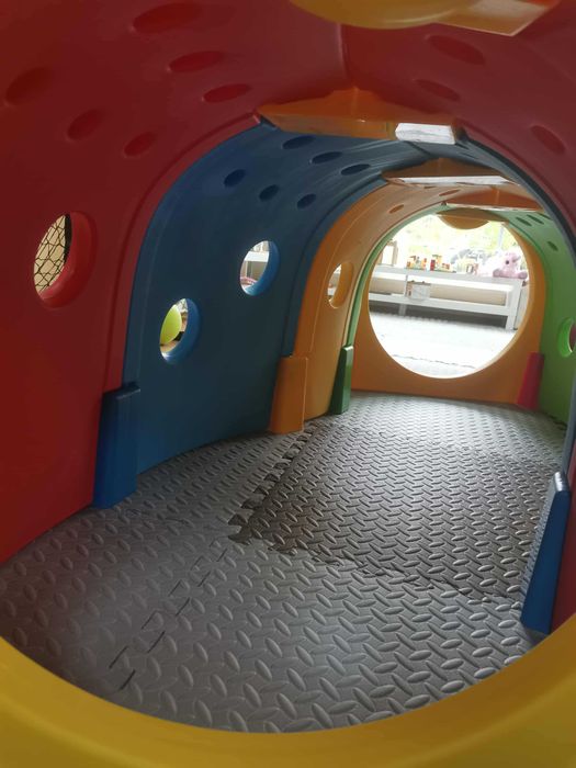 Цветен тунел Гъсеница