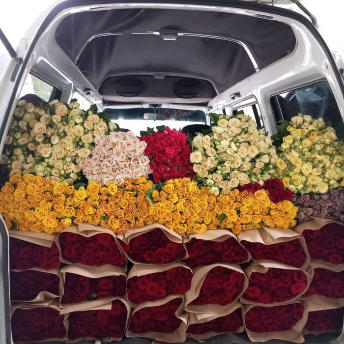 Росе цветы оптом