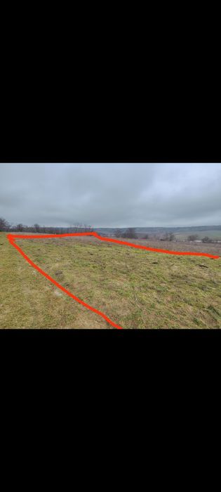 Парцел в регулация.