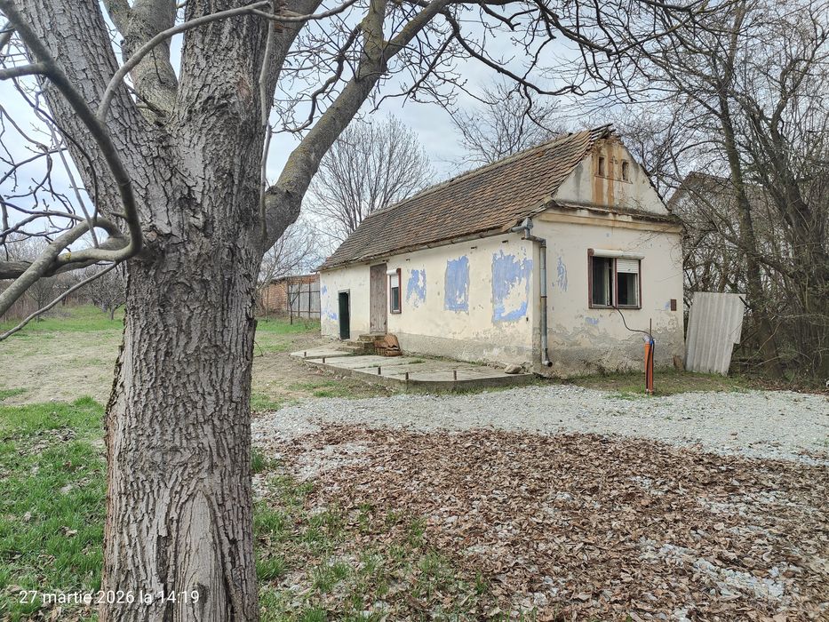 Casa cu livada / Teren intravilan / Sacel - 1350 mp Pozitie centrala