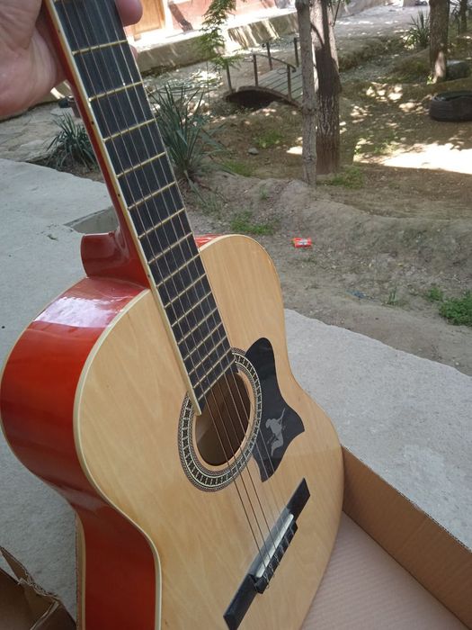 Gitara yangi rasmlarda xam kurinib turibdi