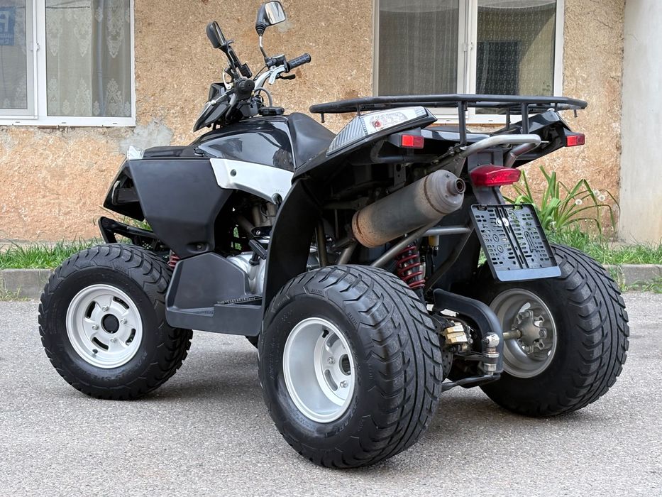 Quad E-Ton Vector 300