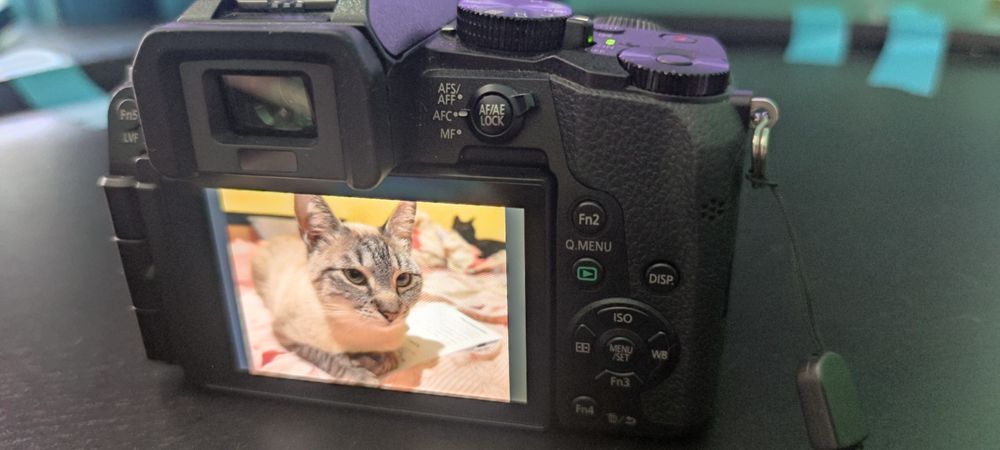 Aparat foto Panasonic Lumix G7