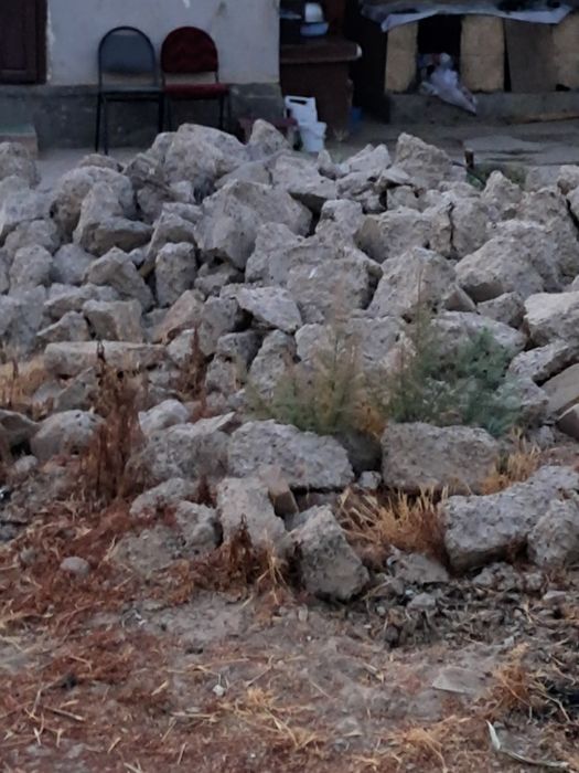 Блужник Сатылады