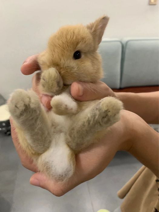 Jim bo‘lgan bola emas, mehribon bola