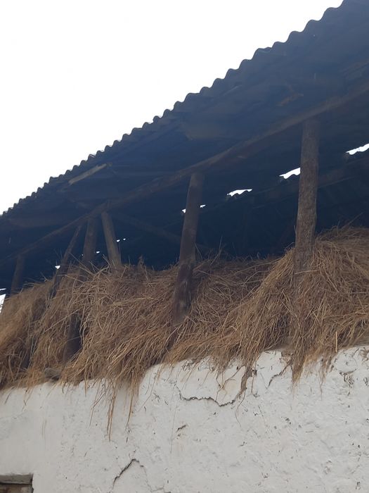 Прадаётса сена 2025 года