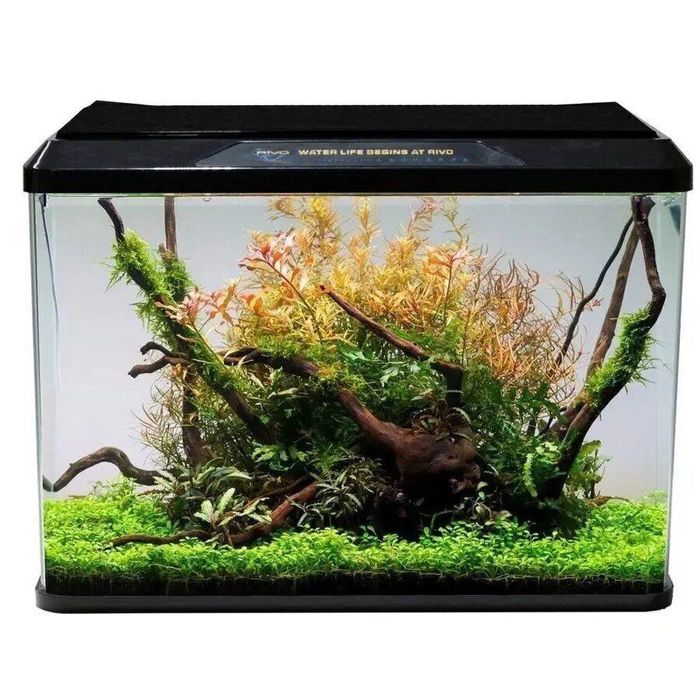 Аквариум за рибки 100 литра с капак осветление и филтрираща система