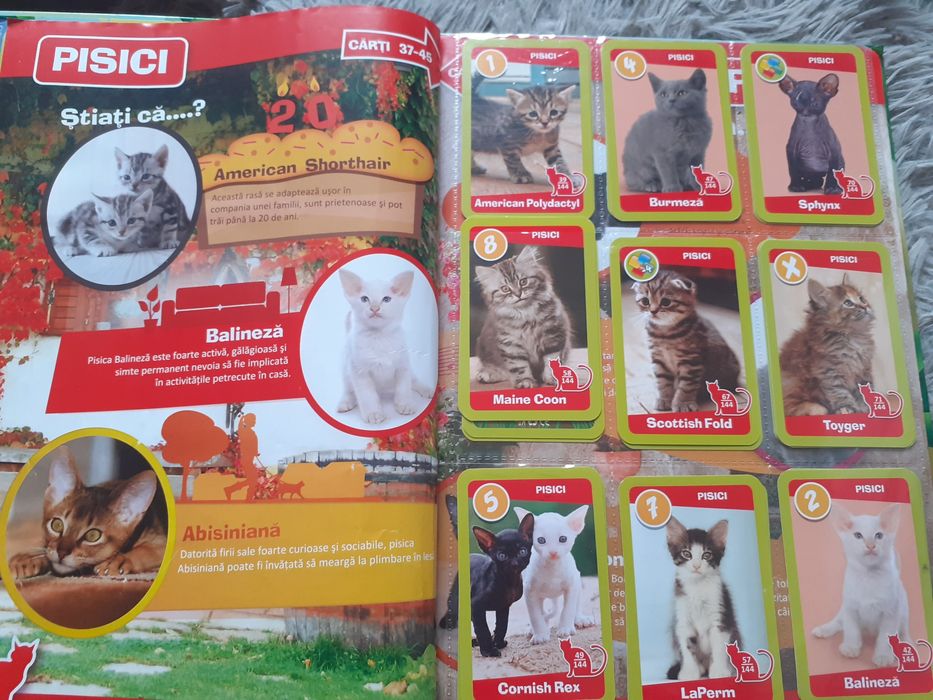 Gradinita de ANIMALE..clasor  editie 2015