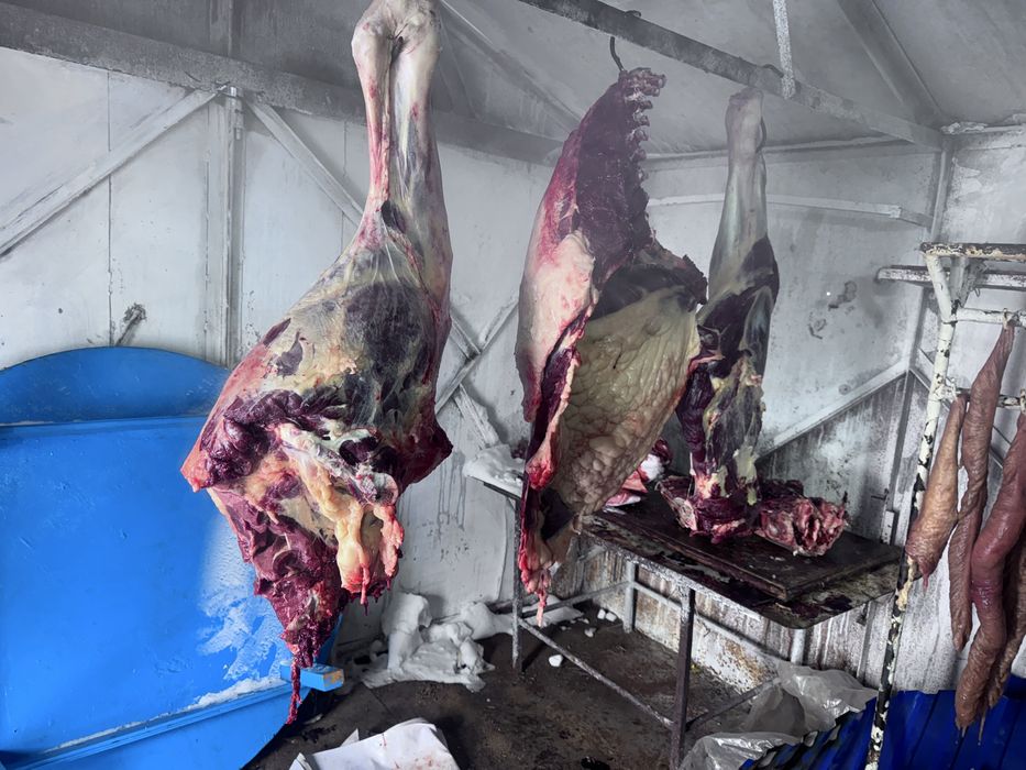 Жарты тай еті сатылады