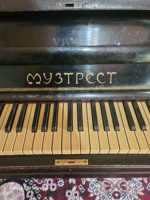 Pionino Mustrest 900 min