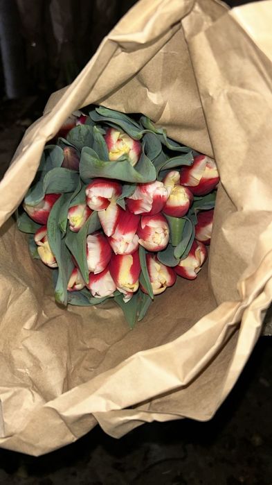 Тюлпаны оптом и в розницу