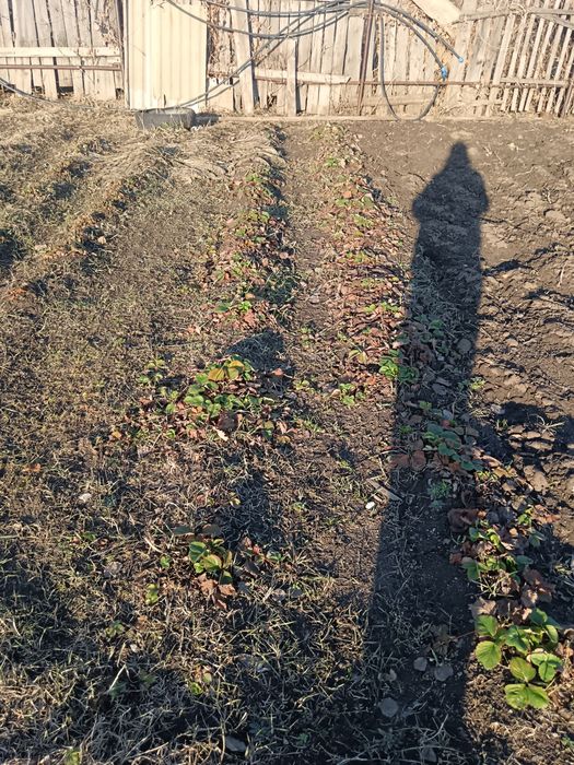 Продам дачу 19 маршрут