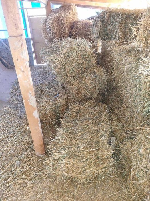 Somon press bor fargona