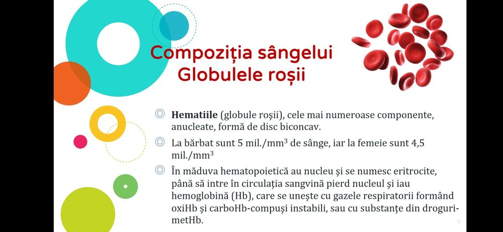 Meditații bacalaureat biologie