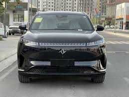 DONGFENG 008 ULTRA pod zakaz