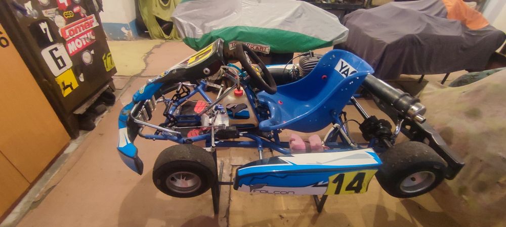 Спортивный картинг