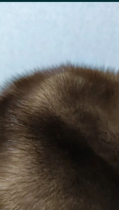 Берет новый норковый