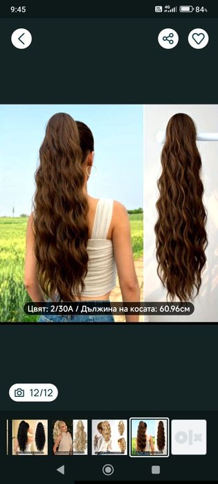 Кок с шнола      .