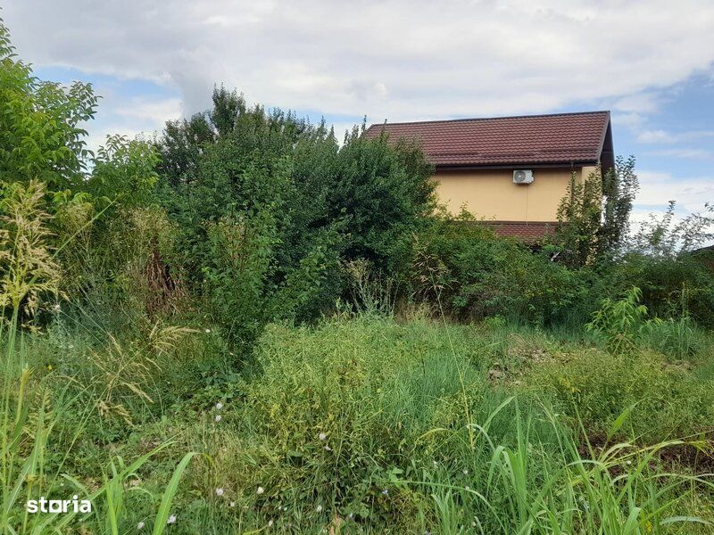 Berceni Dumbrava Rosie