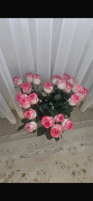 Гүл сатылады жағдайы жақсы