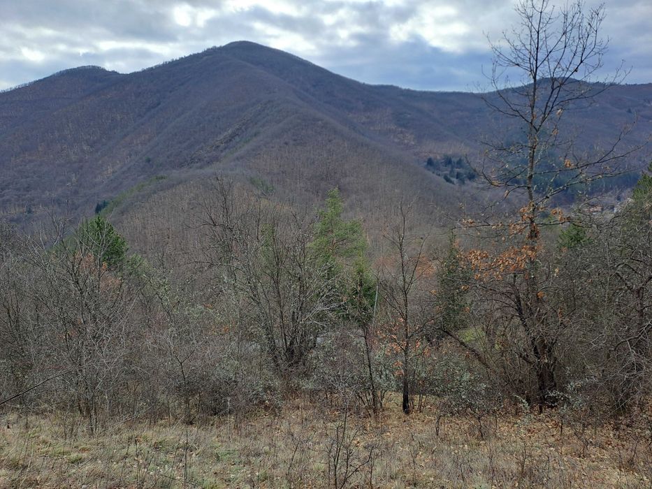Вила в с. Батулия
