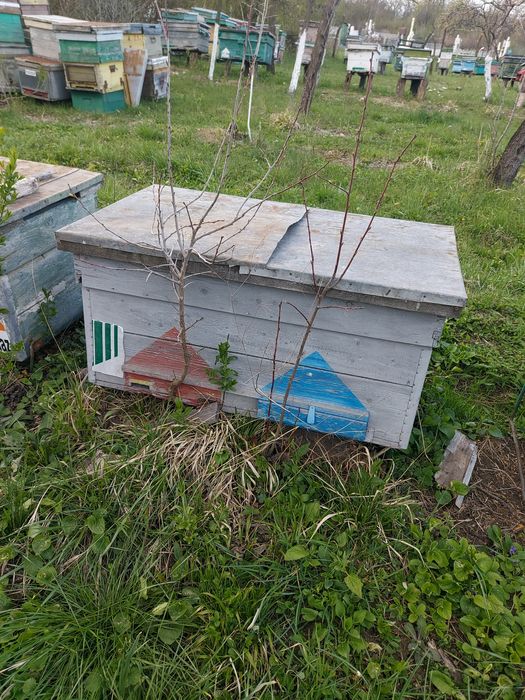 Centrifugă și lăzi orizontale