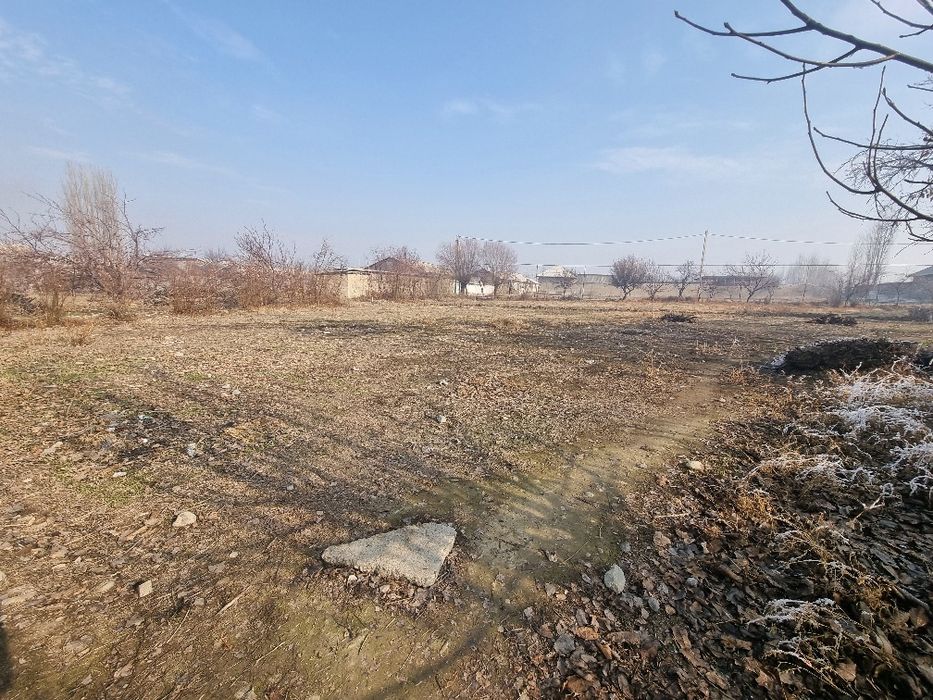 1300$ dan 10sotix chek