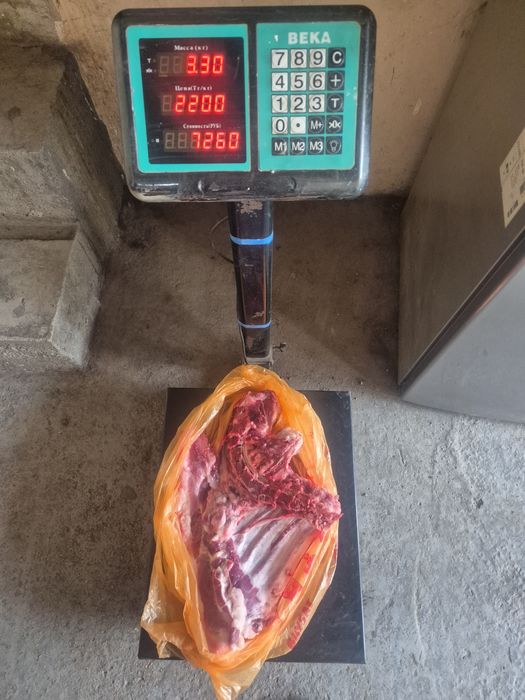 Продам свинину молодую